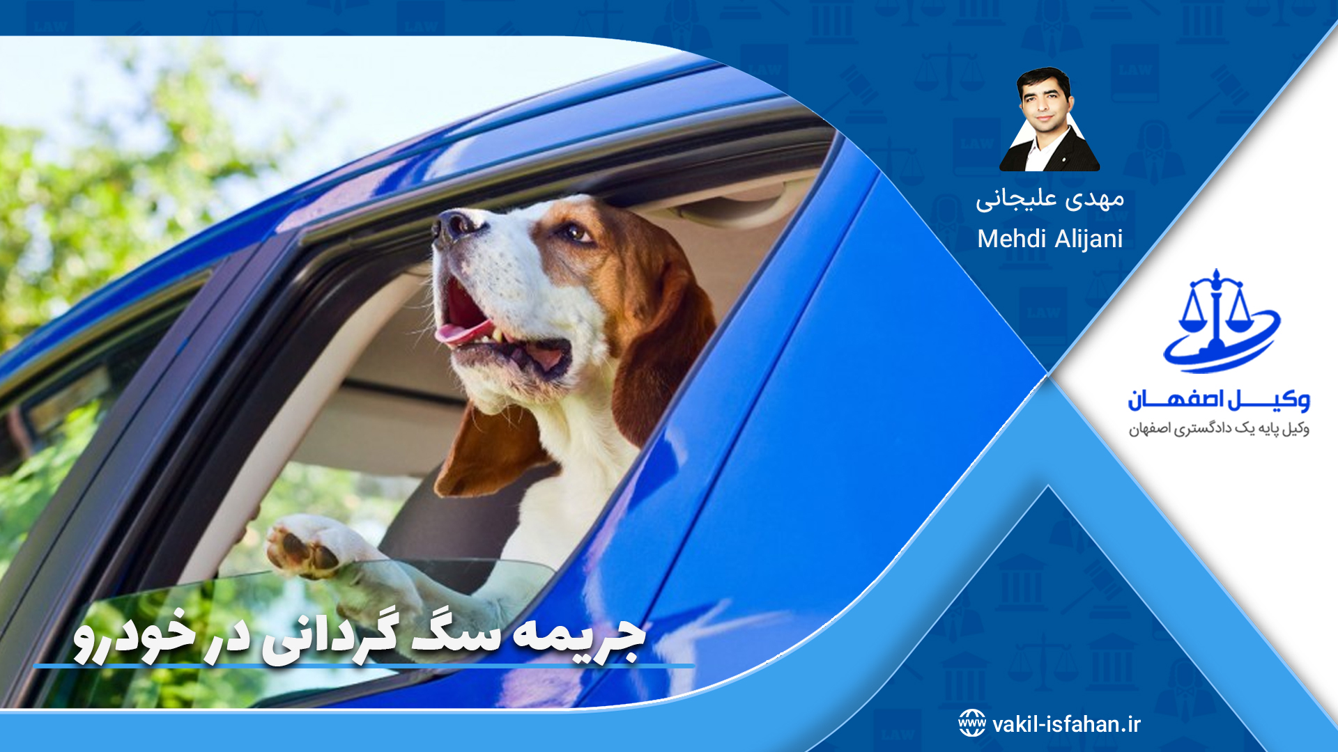 جریمه سگ گردانی در خودرو